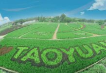 大園溪海休區彩繪稻田10/5起登場 桃市農業局邀大小朋友享受田園美景