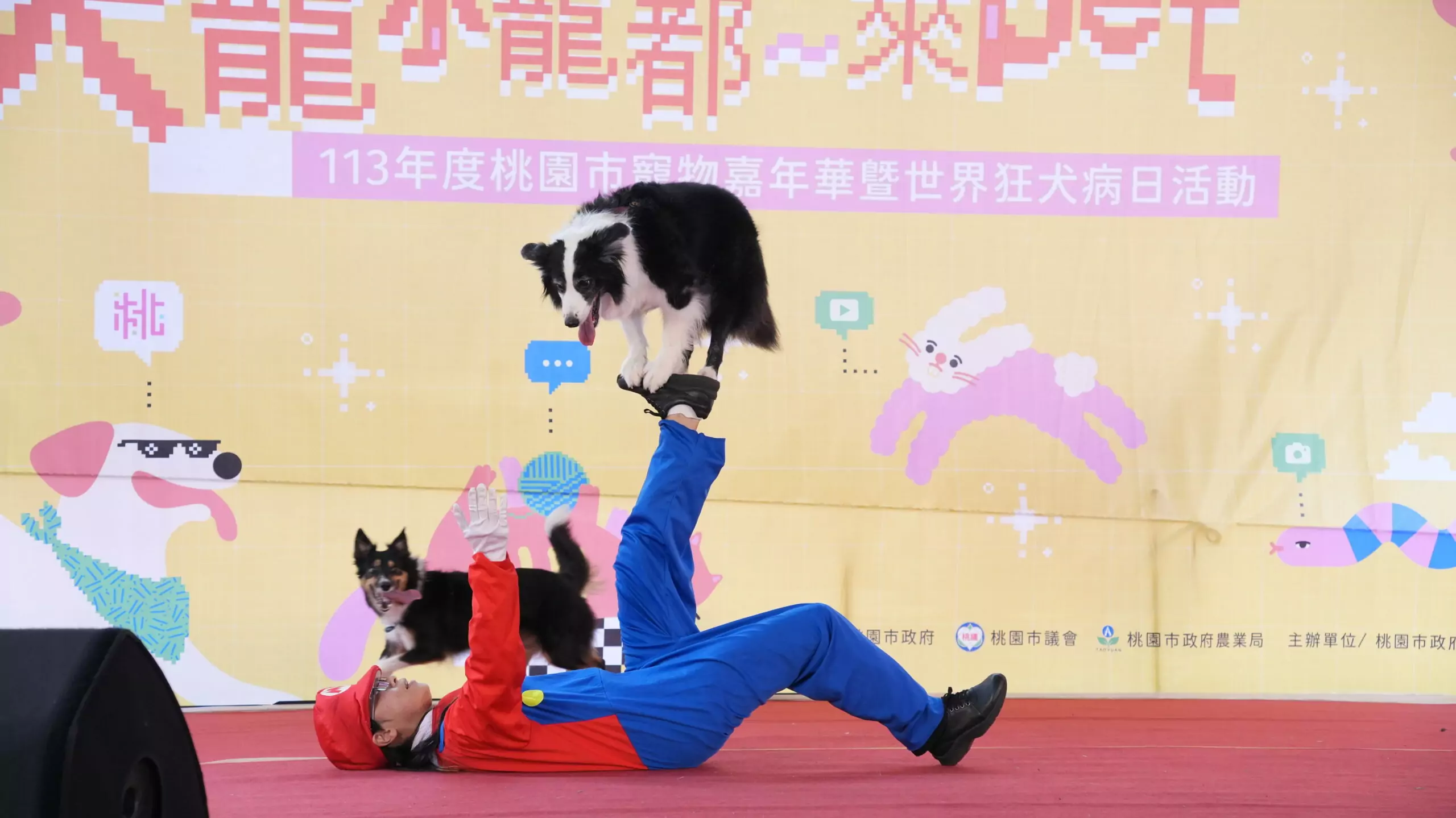 寵物嘉年華響應世界狂犬病日 桃園「汪汪隊」驚喜現身超吸睛 寵物嘉年華響應世界狂犬病日 桃園「汪汪隊」驚喜現身超吸睛
