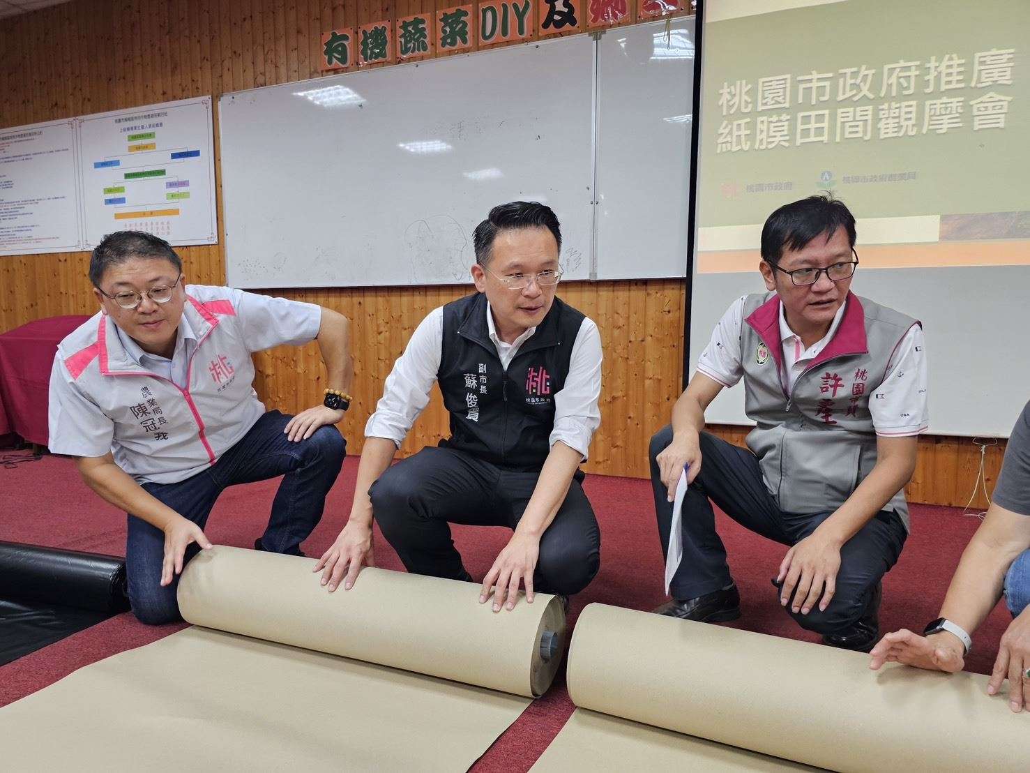 桃園輔導環境友善農法 紙膜栽種仙草成效佳 38db9ed1 c877 47cc a731 ae3a852c6b55