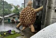 蘇俊賓親揭桃園地景藝術節3大亮點 創意打卡引領潮流