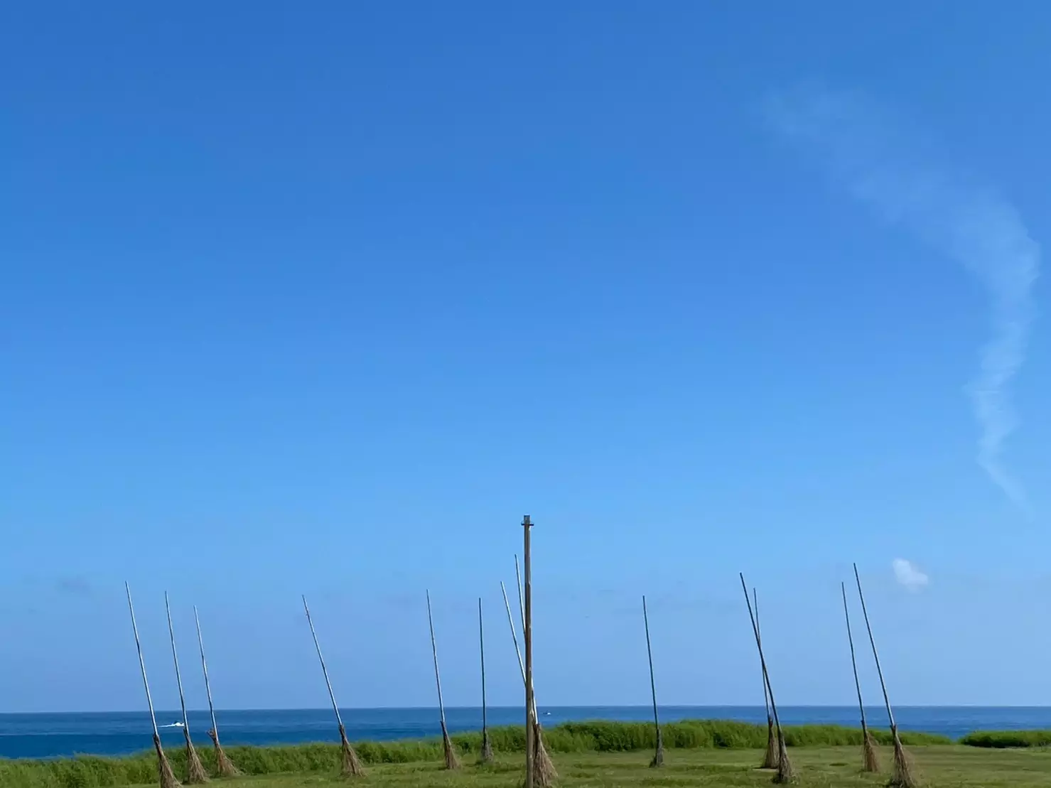 LINE ALBUM 20230909海科千人健走 230909 75