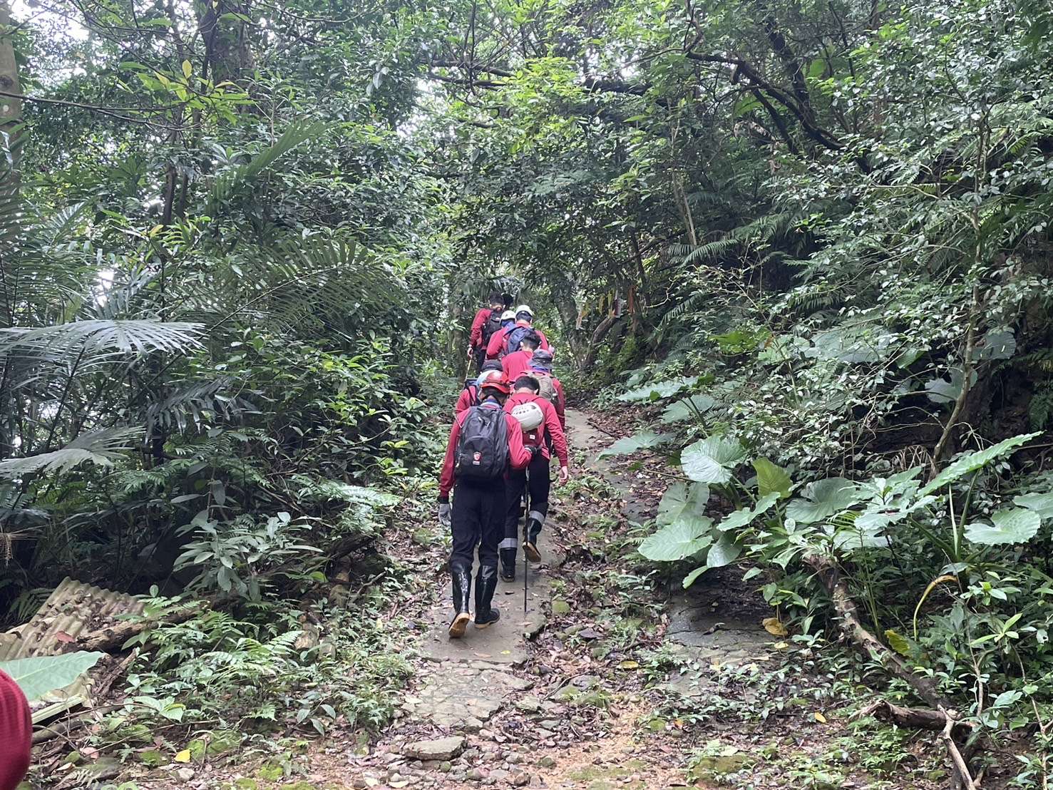 桃消大溪分隊辦理山域搜救訓練 提醒登山客小心「這件事」 S 11616576