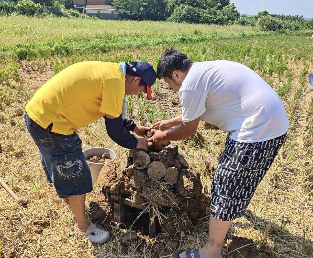 勞動部桃竹苗分署輔導民間團體 楊梅客庄「農家樂」一日遊獲好評 S 133759009