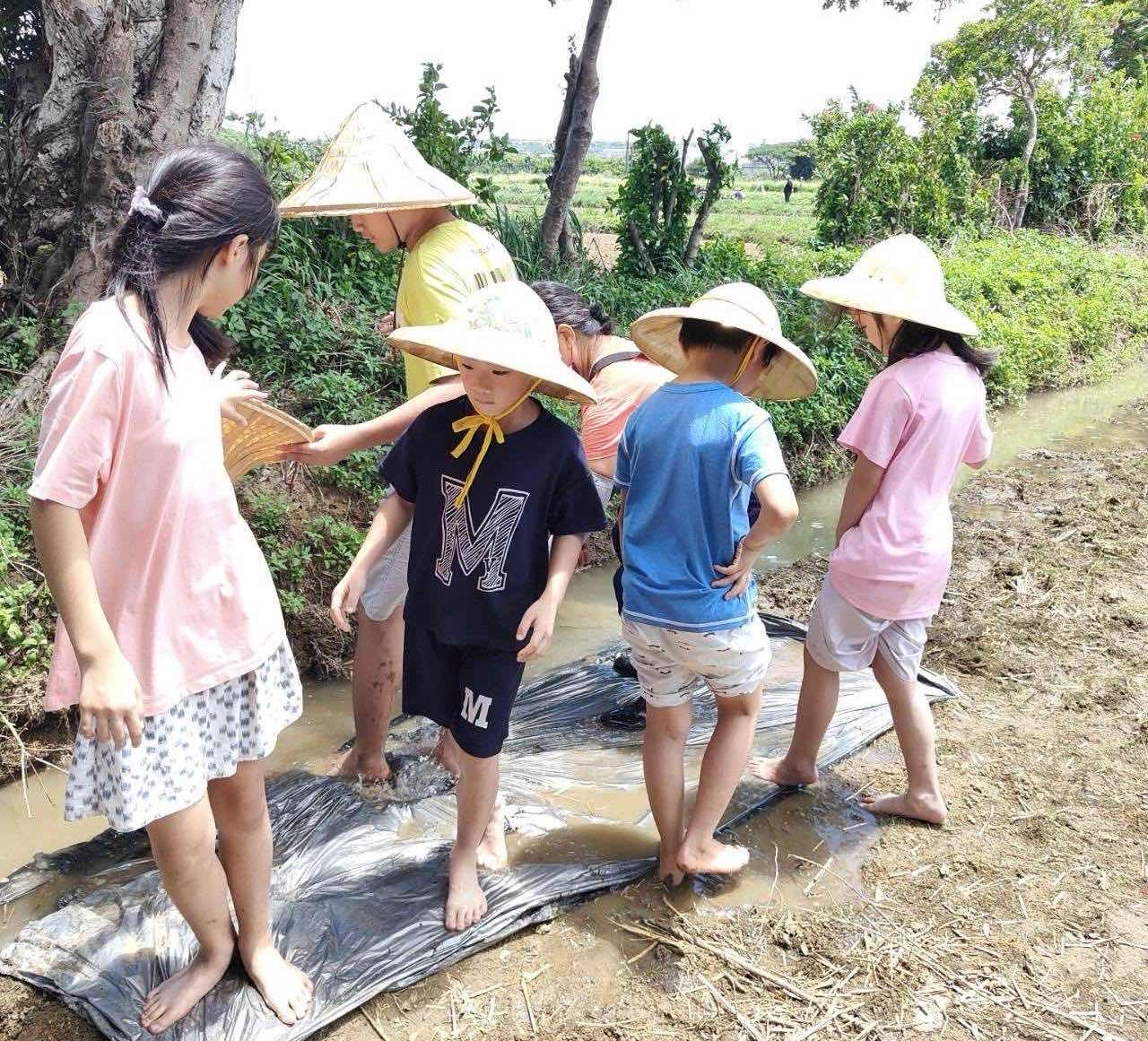 勞動部桃竹苗分署輔導民間團體 楊梅客庄「農家樂」一日遊獲好評 S 133759015
