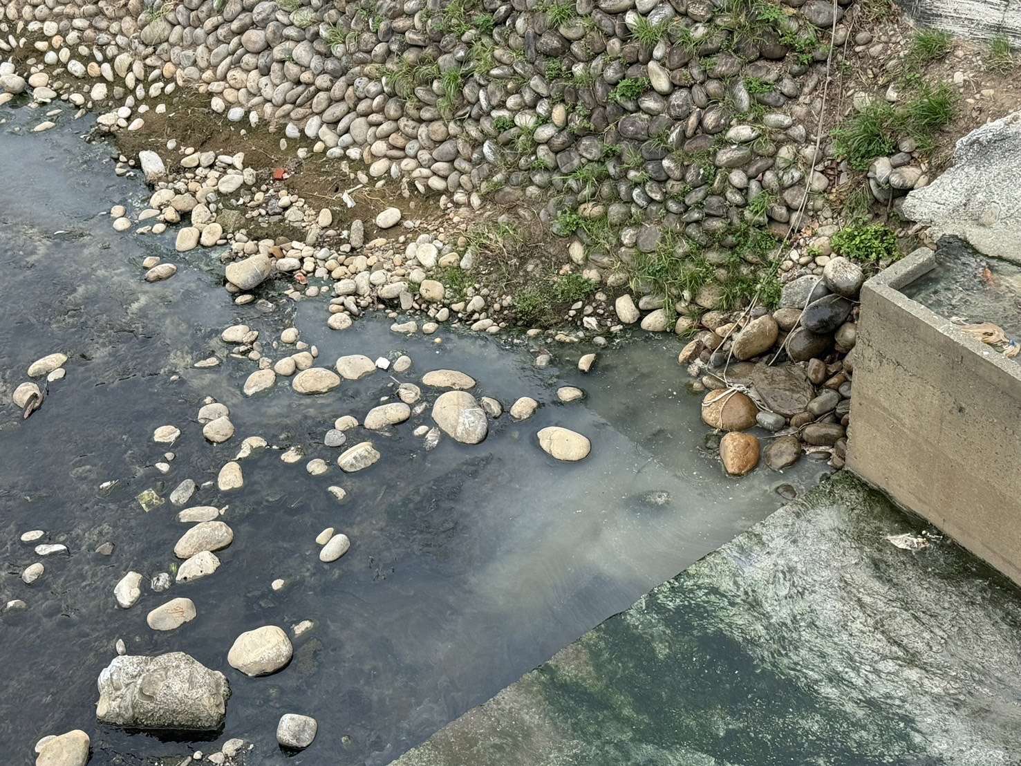 誇張!團膳業者屢次偷排廢水汙染南崁溪 桃園環保局出手了 S 33128593 0