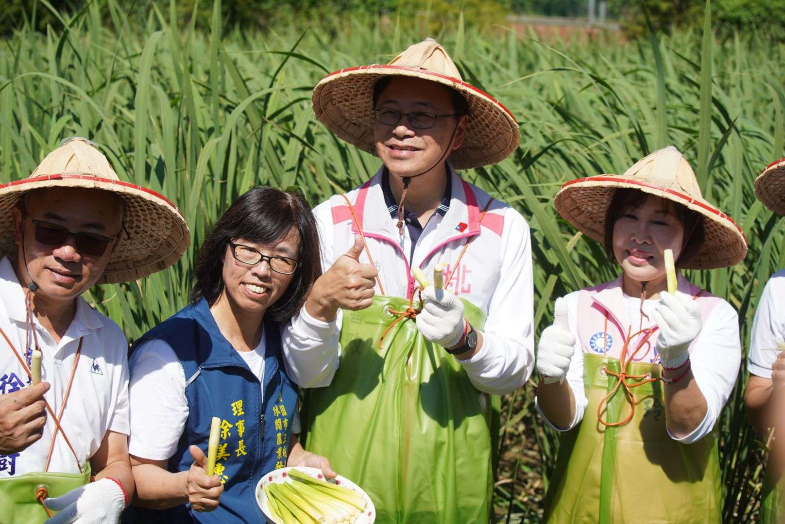 龍潭三坑水鄉茭白筍節熱鬧登場 張善政親自下田體驗採摘樂趣 1002207