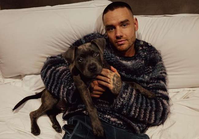 英國天團「1世代」前成員連恩佩恩墜樓身亡 享年31歲