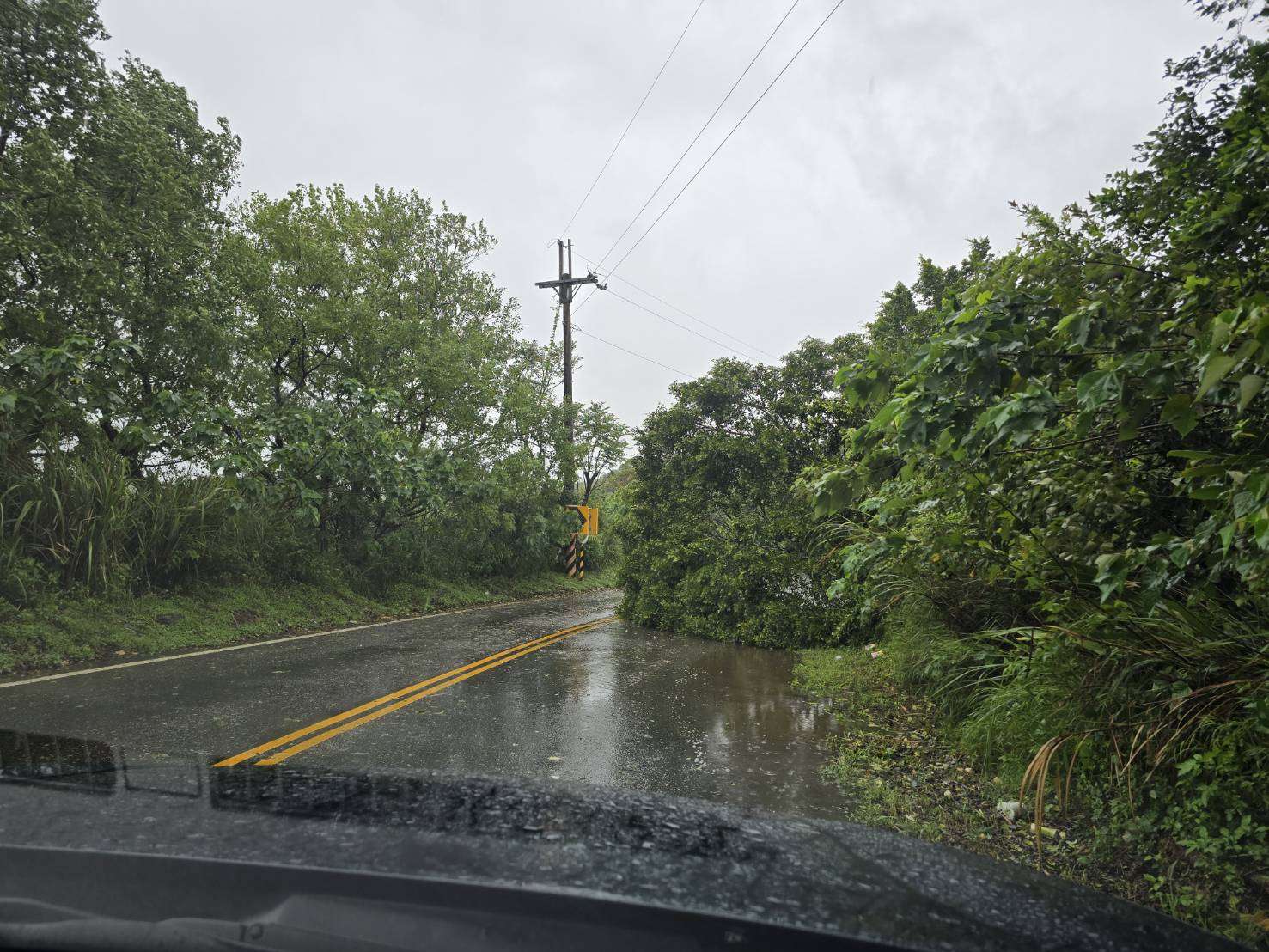 桃園龜山多處路樹倒塌 警冒雨疏導交通 211540 0