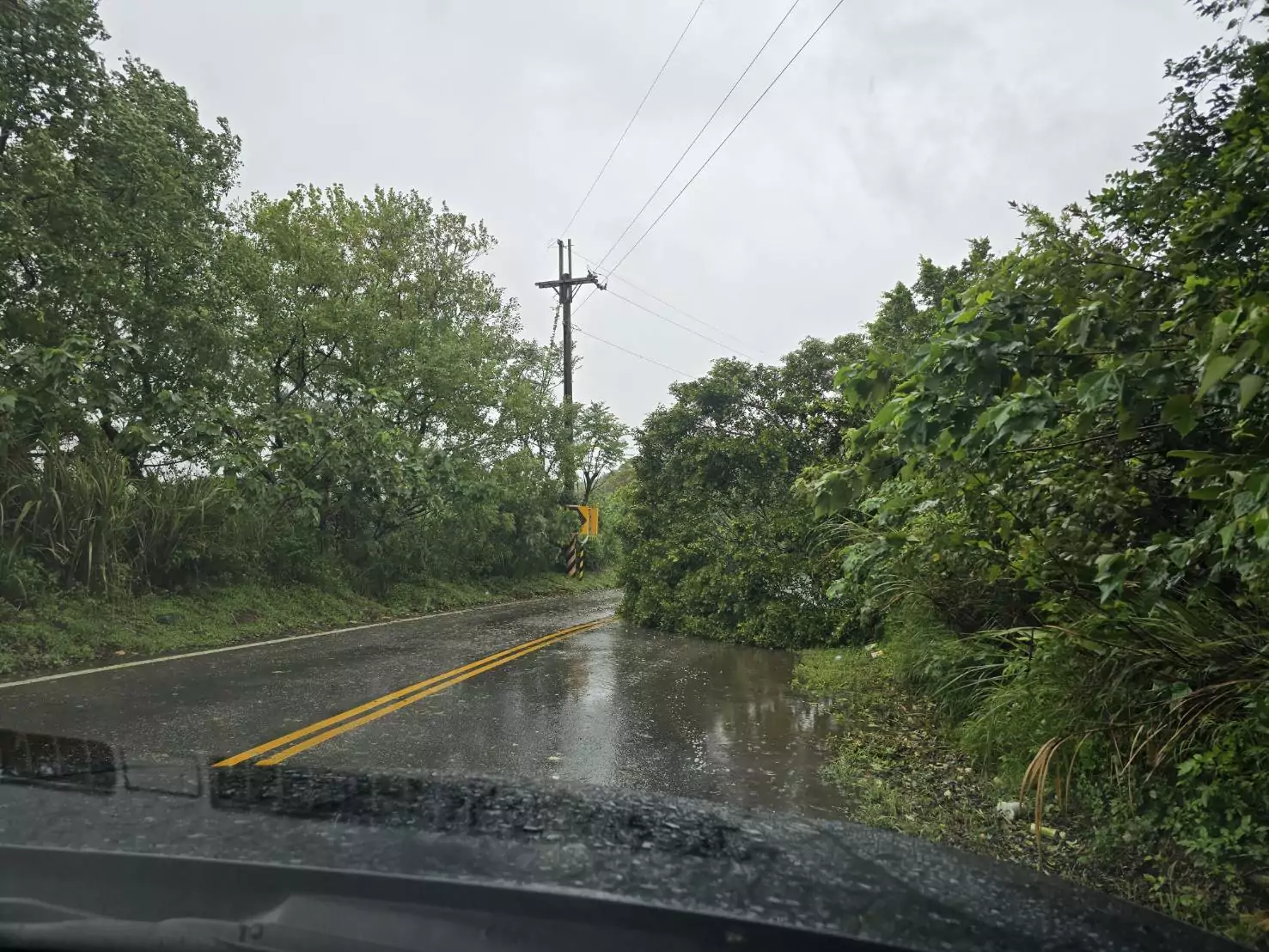 桃園龜山多處路樹倒塌 警冒雨疏導交通 桃園龜山多處路樹倒塌 警冒雨疏導交通