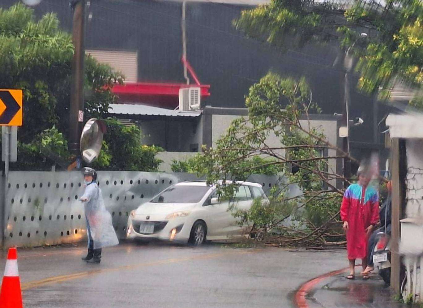康芮襲台多處路樹倒塌 龍潭警交管守護用路人安全 2471895 0
