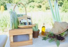 龍潭三坑茭白筍評鑑揭曉 市府推動農遊結合食育振興在地產業