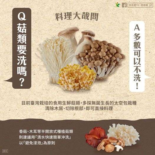 「菇類」下鍋前要洗嗎？農糧署曝解答