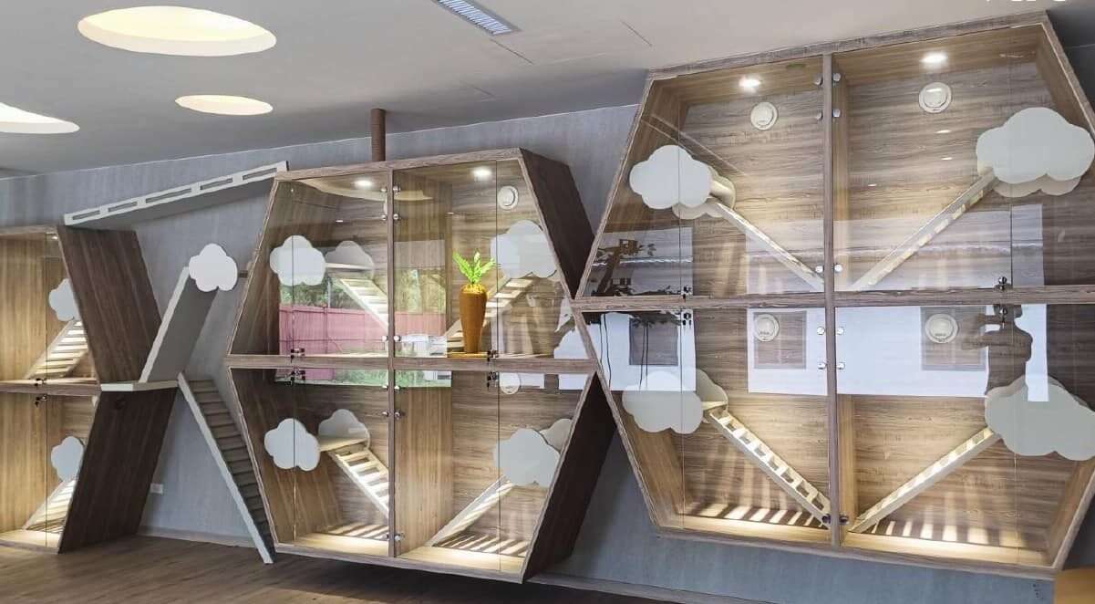 桃議員盼改善動保環境 籲農業局增補動物救援資源