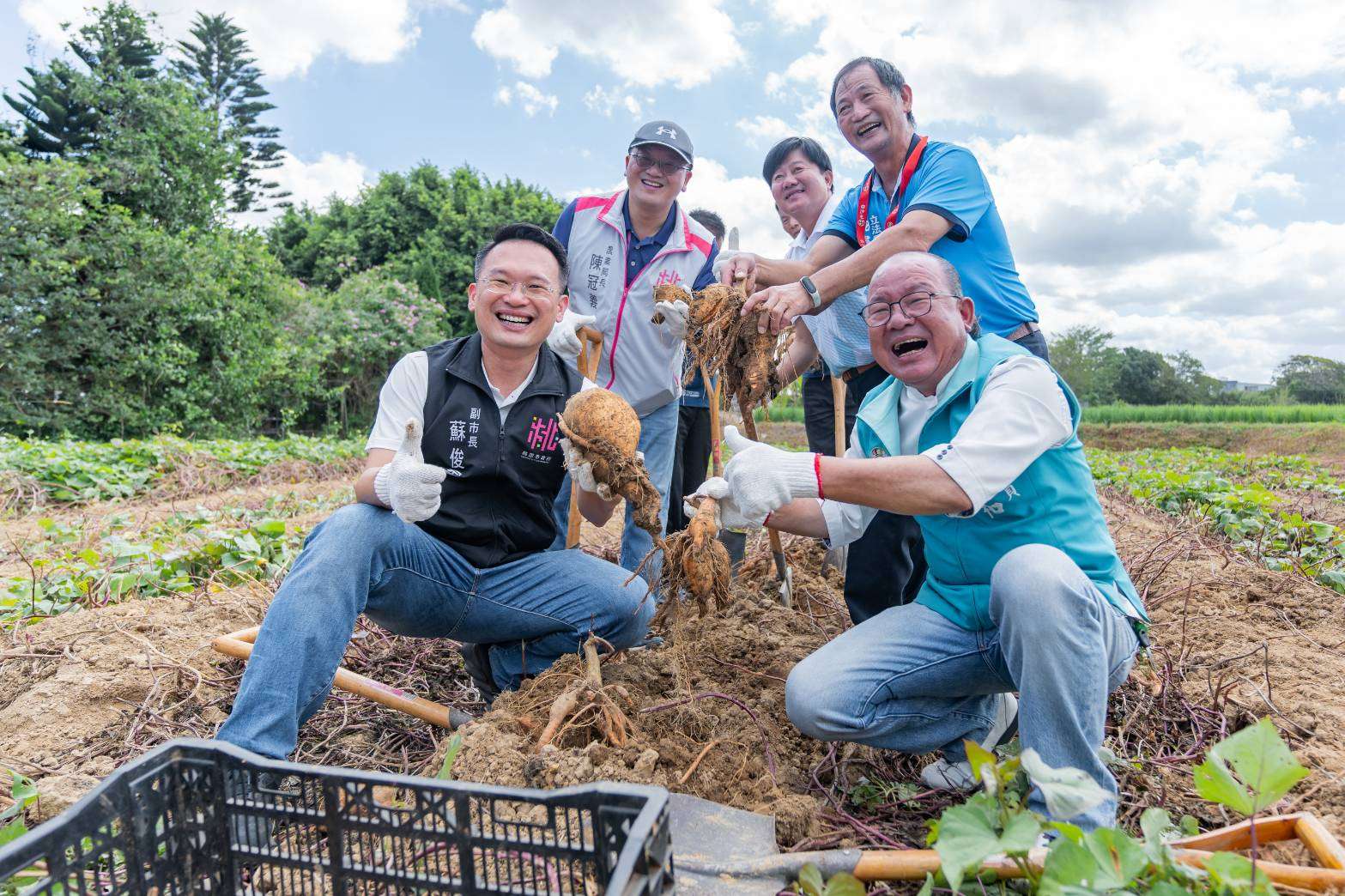 蘇俊賓體驗焢窯下田挖地瓜 力推大園甘藷獲網友熱烈反響 65e36d7c 1223 4395 b13e f9db66d6cdca