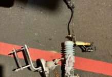 【有片】桃園新屋逾千戶停電 台電揭兇手是「它」