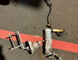 【有片】桃園新屋逾千戶停電 台電揭兇手是「它」