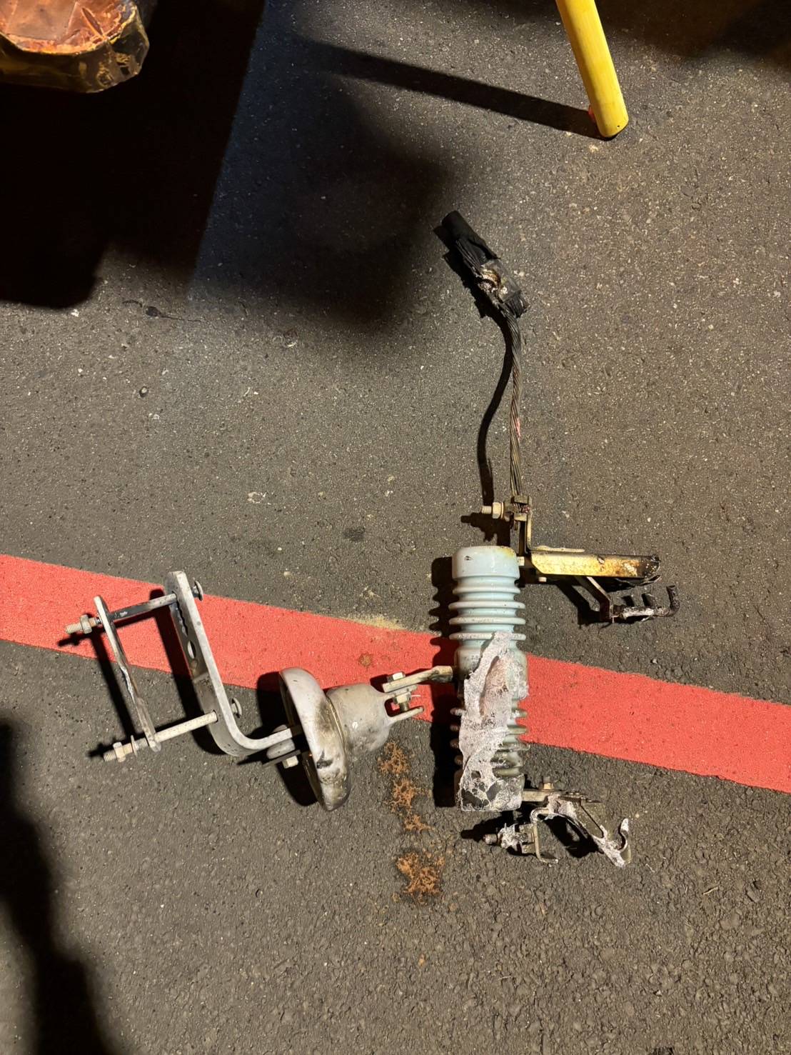【有片】桃園新屋逾千戶停電 台電揭兇手是「它」 81724