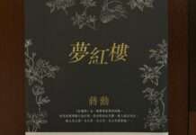副刊/大夢中見慈悲——蔣勳《夢紅樓》