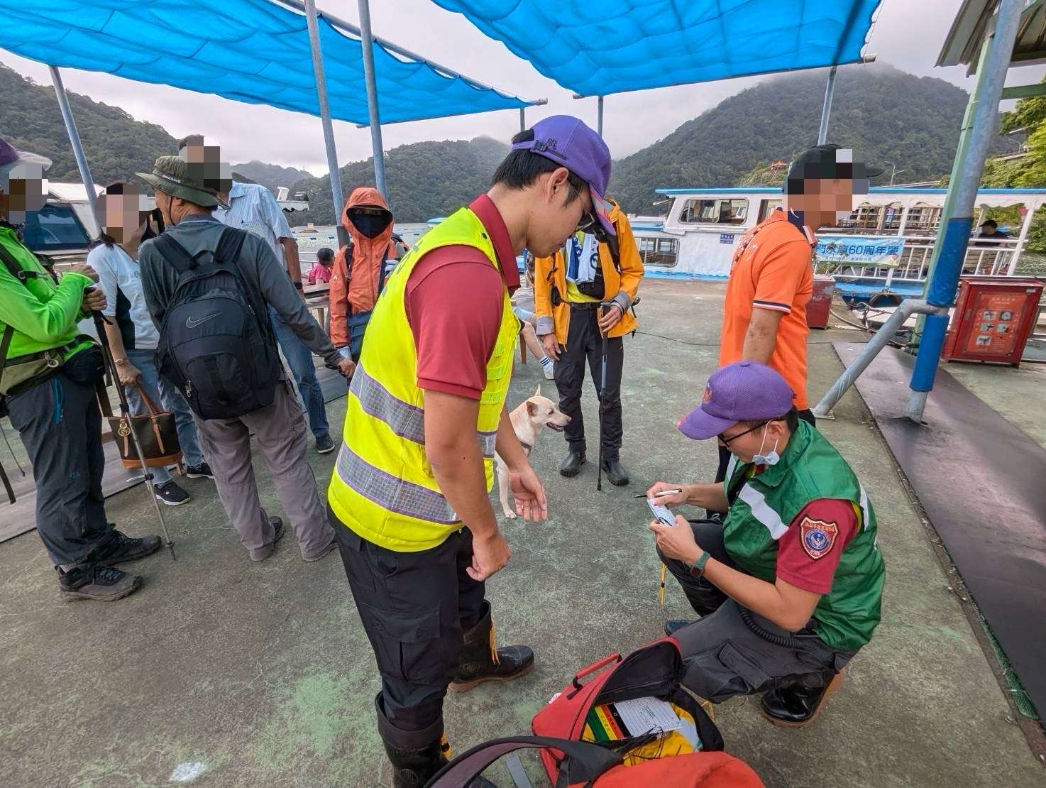 桃園復興區仙島登山客遭蜂螫 5人緊急送醫 S 1221632042 0