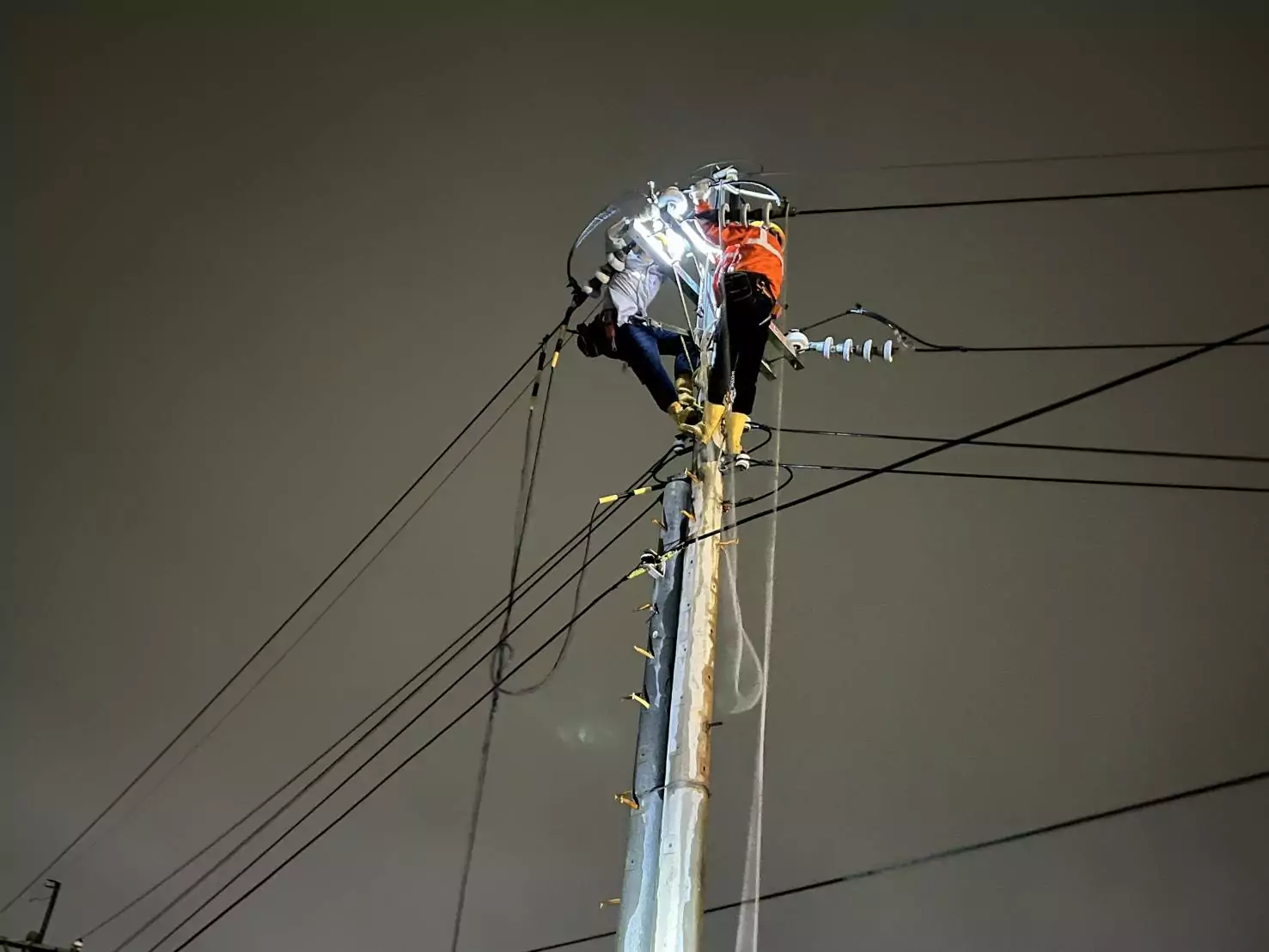 山陀兒襲台釀桃園近萬戶停電 台電迅速搶修全數復電 S 13066320