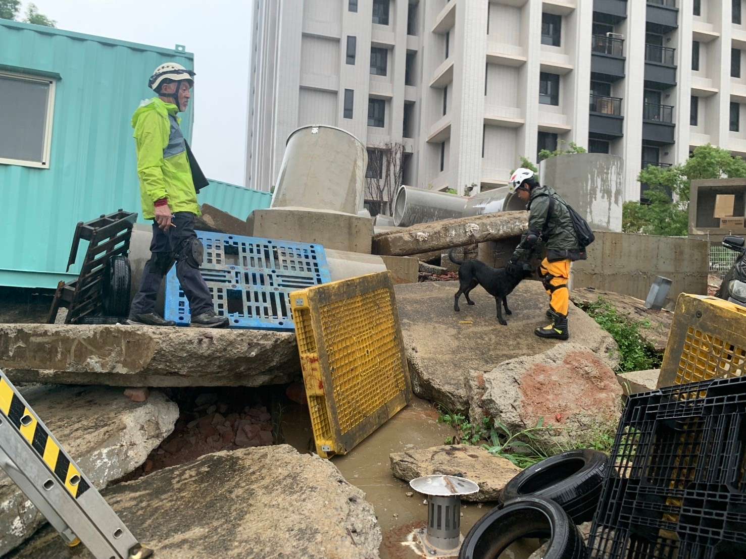 【有片】桃園消防搜救犬再添新戰力 3「萌犬」全數通過獲IRO認證 S 2179081 0