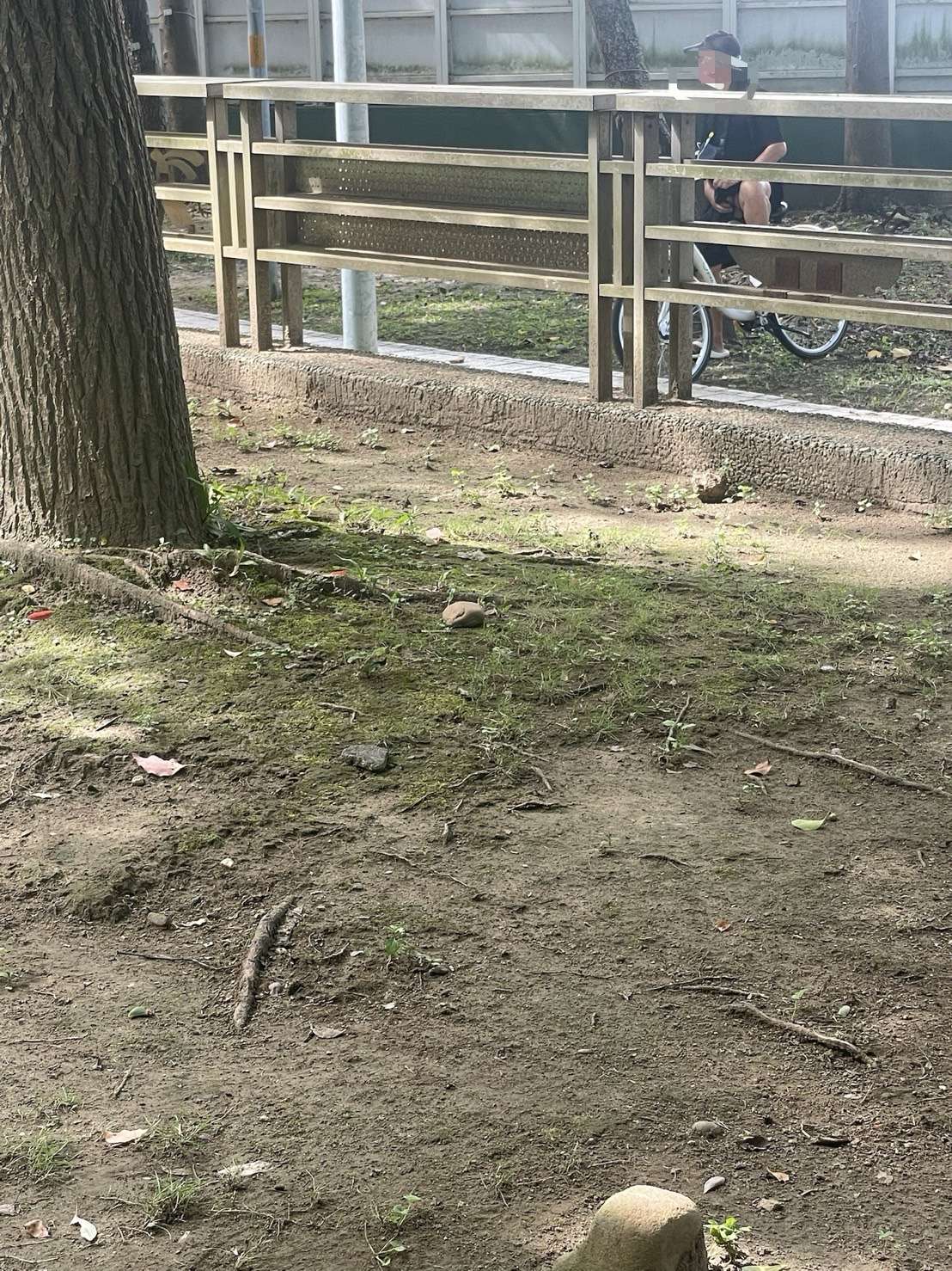 驚見阿伯大白天公園「打手槍」 女網友驚嚇報警:晚上還安全嗎? S 22896647