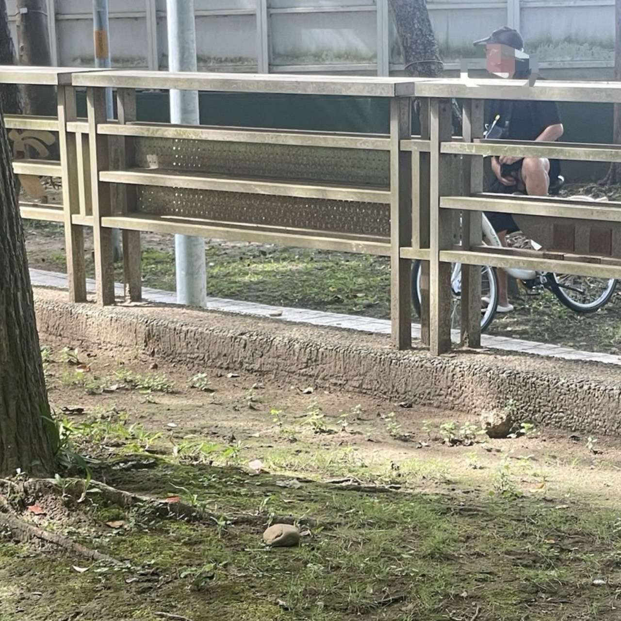 驚見阿伯大白天公園「打手槍」 女網友驚嚇報警:晚上還安全嗎?