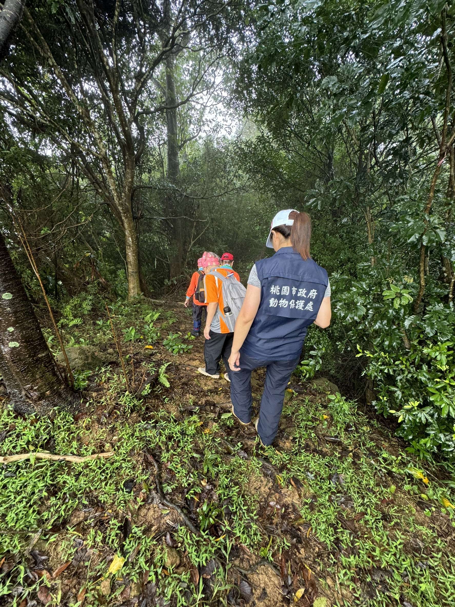 桃園動保處辦理清除獸鋏及山豬吊活動　強化民眾法律知識