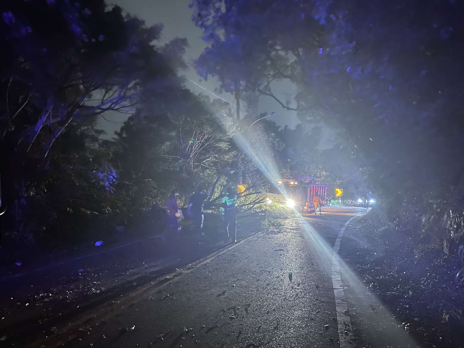 山陀兒逼近!桃園虎頭山路樹遭吹倒 龜山警火速啟動交通管制 S 295854085 0