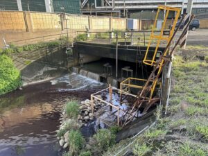桃園環保局AI監測站立大功 揪出業者鹼性污水流進樹林溪