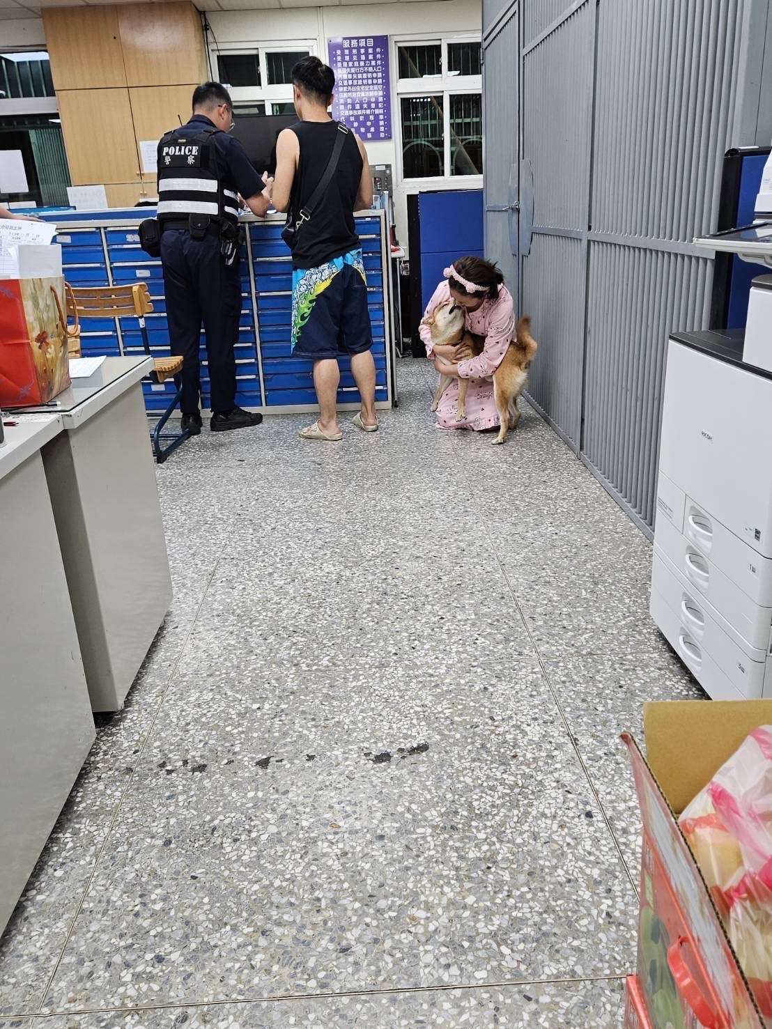 柴犬1原因跑出家門走失 龜山警助其與主人團聚 S 364216333