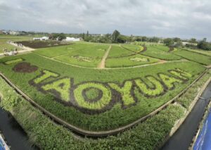 大園溪海休區「彩稻慶豐收」登場 逾千坪彩繪稻田國旗圖騰等你拍