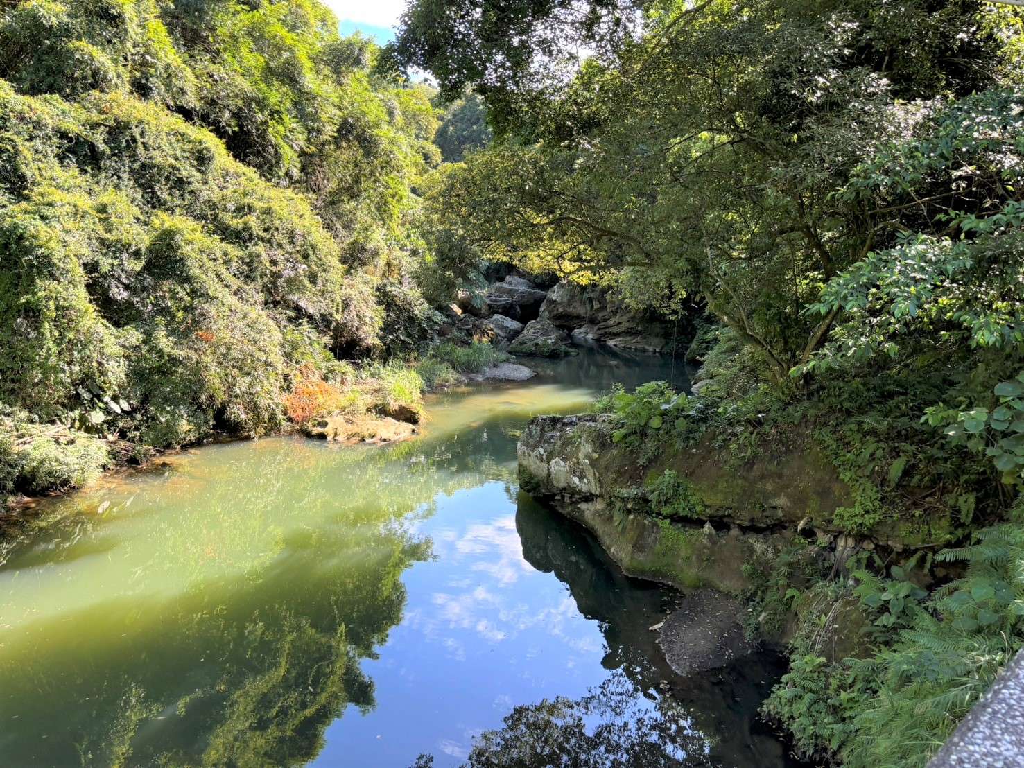 到桃園山豬湖看「鱷魚岩」 欣賞鳳蝶翩翩飛舞