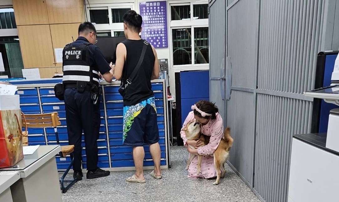 柴犬1原因跑出家門走失 龜山警助其與主人團聚