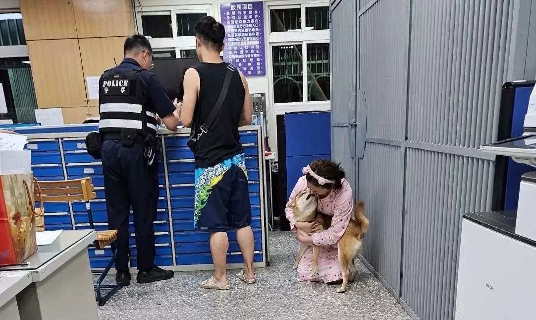 柴犬1原因跑出家門走失 龜山警助其與主人團聚 柴犬1原因跑出家門走失 龜山警助其與主人團聚