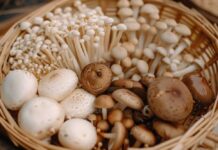 「菇類」下鍋前要洗嗎?農糧署曝解答