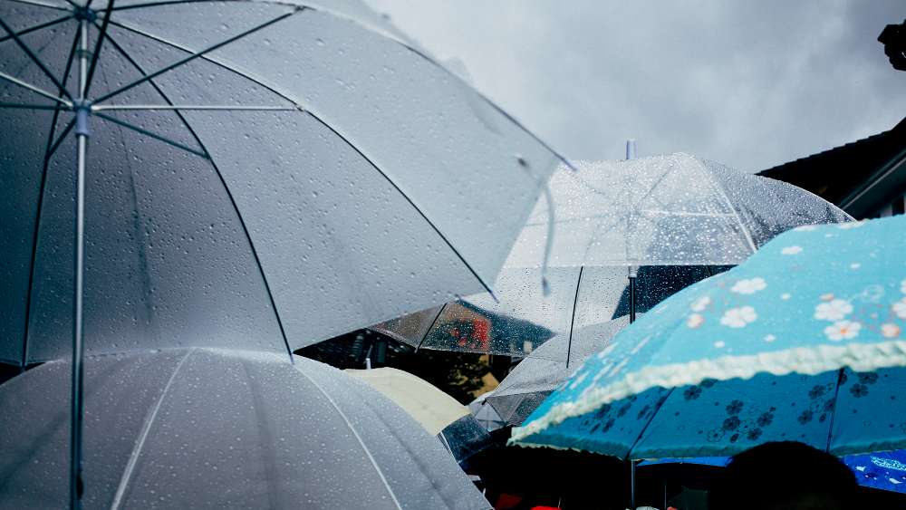 「天兔」增強轉中颱!氣象粉專曝1情形風雨恐生變數 12616 1