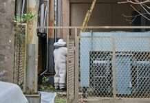 桃園農業局將採購「救命筆」 提升捕蜂捉蛇大隊執勤安全