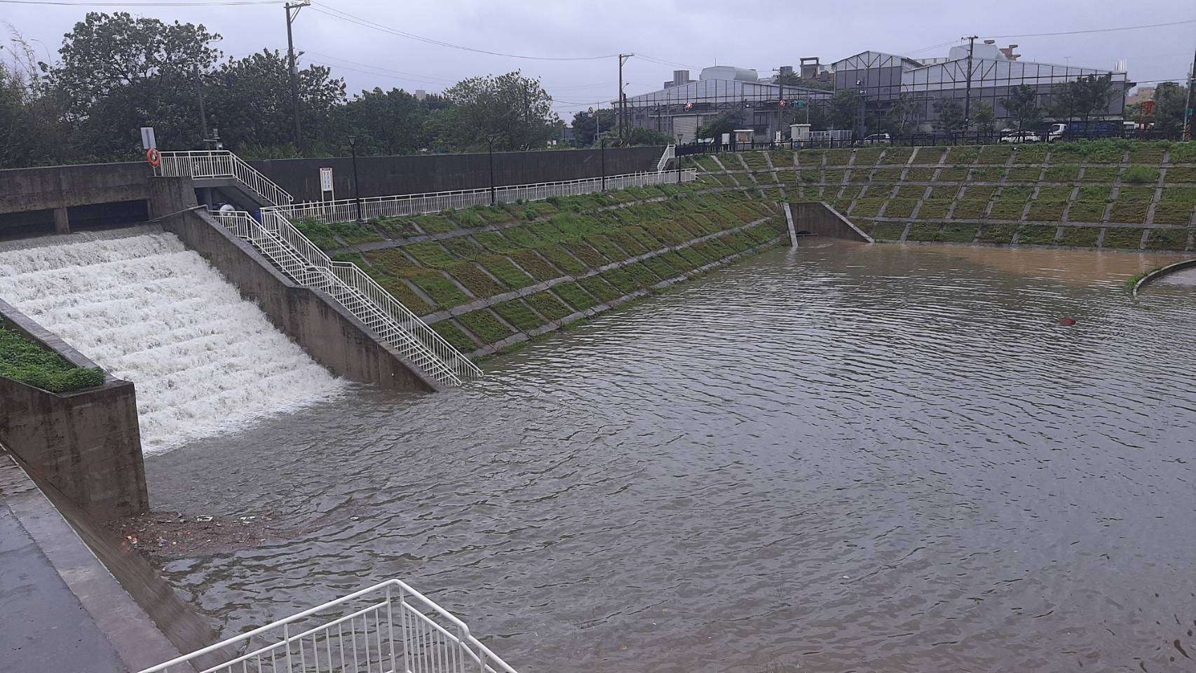 大樹林滯洪池提升防災韌性 中市青諮委員來桃園取經 22101 0 0