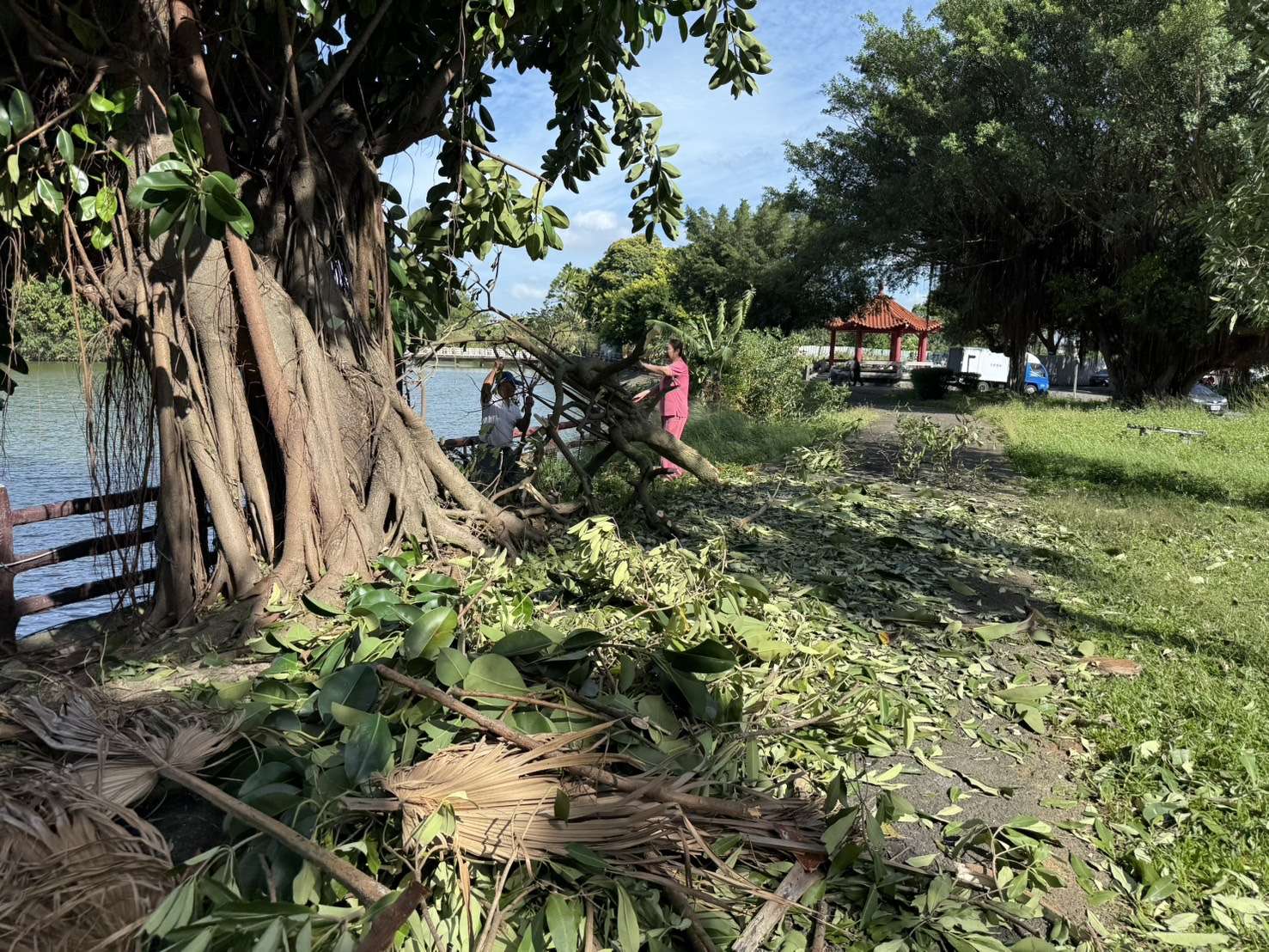 桃園榮家團結復原災後環境 齊心協力守護住民安全 297641 0