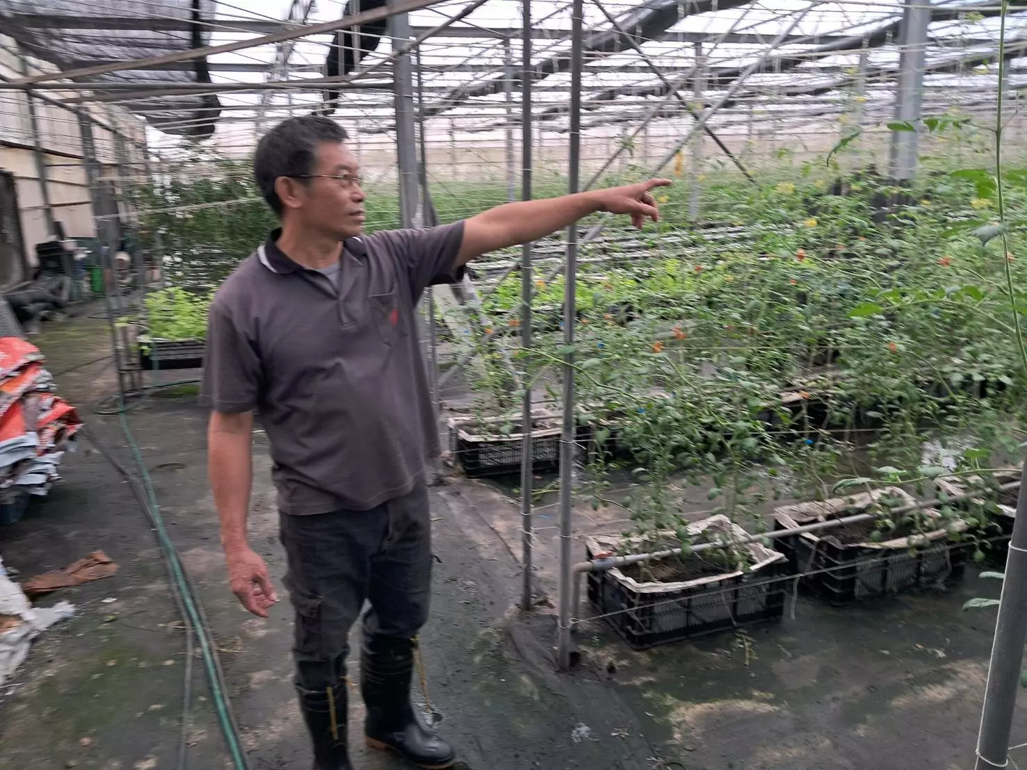 康芮颱風肆虐!桃園農業局曝農業損災情況 383642
