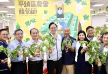 平鎮蘿蔔節11/24首度登場 帶你深度體驗當地農業文化