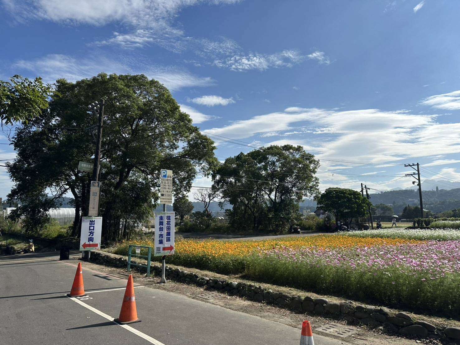 大溪水岸花卉農遊11/16熱情登場 周邊交管措施一次看 445899 0