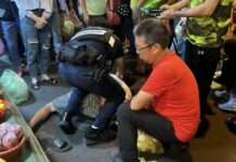 【有片】來台工作、觀光逾期居留 八德警市場逮2越籍男