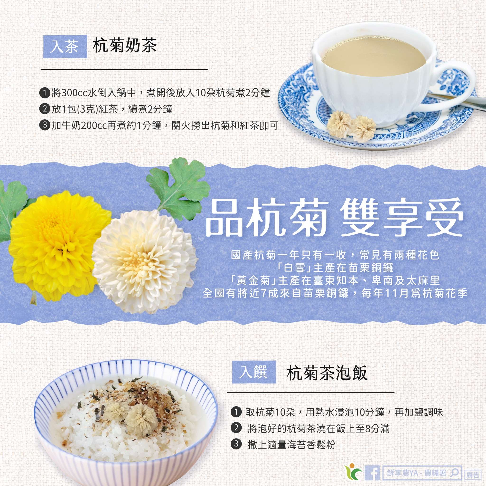 杭菊盛開!農糧署分享創意食譜 教你自製奶茶、茶泡飯暖胃 467360344 886681460277152 6964686498834089874 n