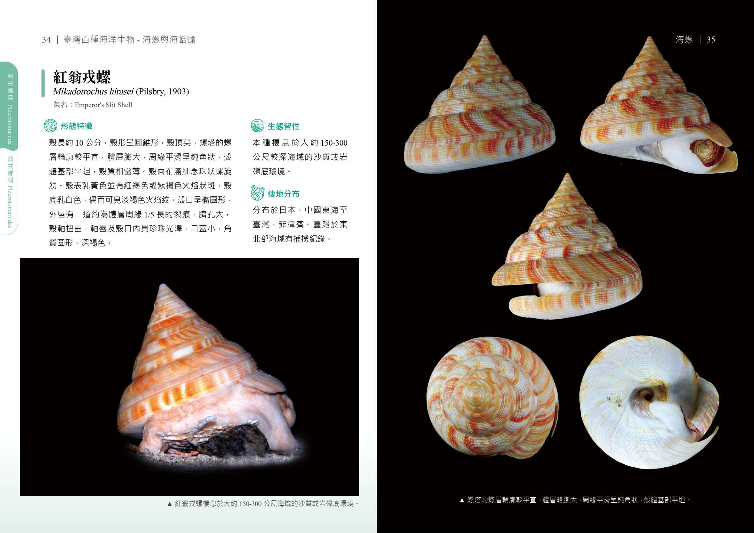 4FFDE4D6 6397 449B B5B2 8CD344F543C0 scaled