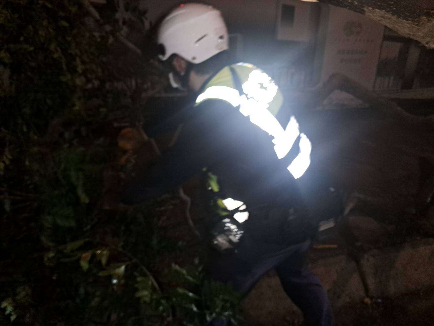 康芮颱風吹倒路樹 蘆竹警冒風雨助清除 871173 0