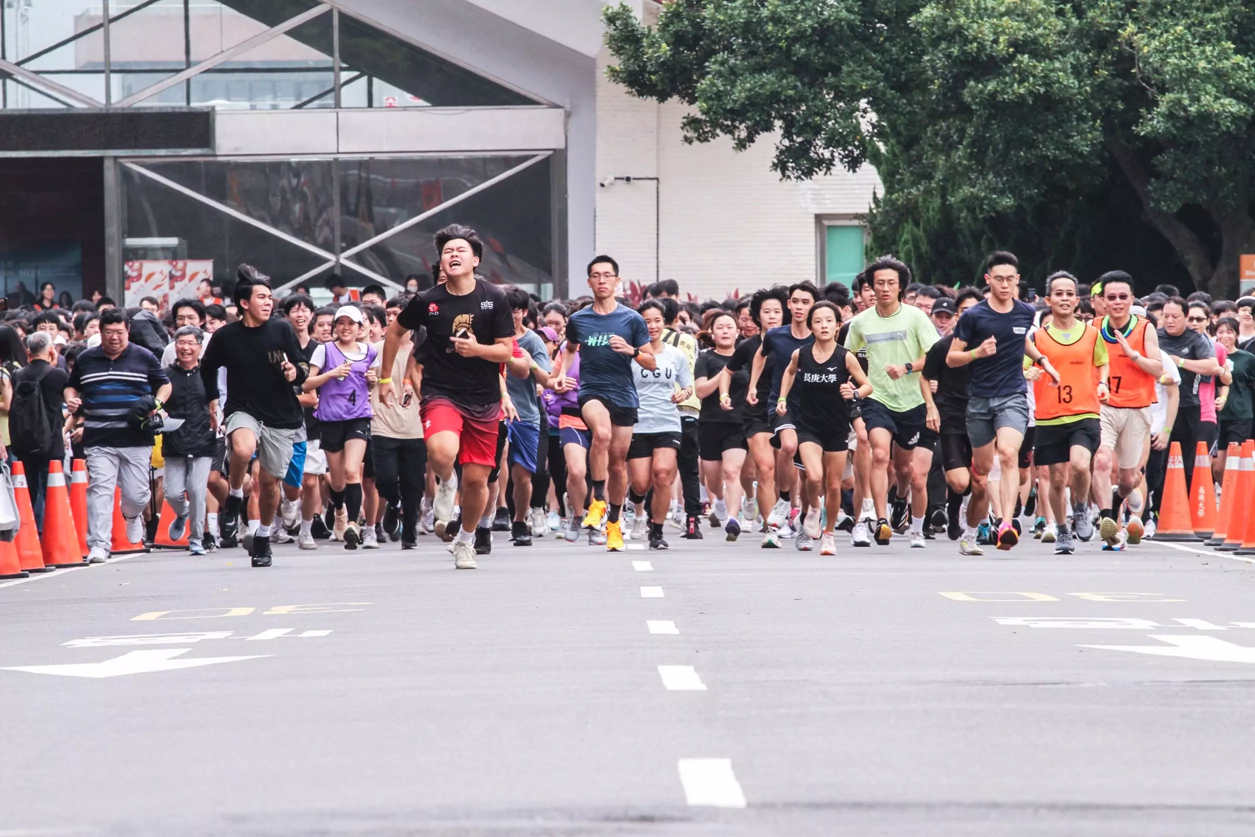 IMG 2559