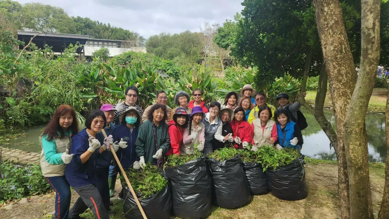 八德區公所攜手里民清除小花蔓澤蘭 守護埤塘生態環境 八德區公所攜手里民清除小花蔓澤蘭 守護埤塘生態環境