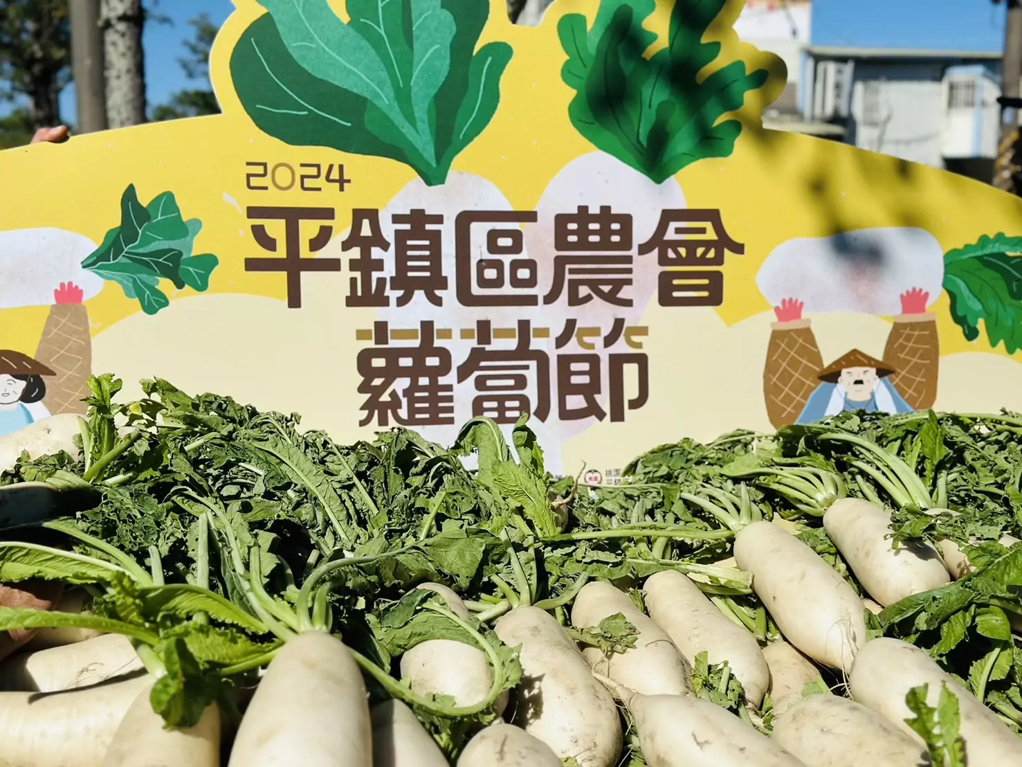 平鎮區農會蘿蔔節熱鬧登場 享用美味客家菜包 S 192102428 0